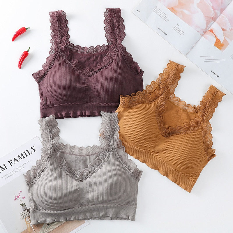 Lace Bra Tops Fashion Cotton