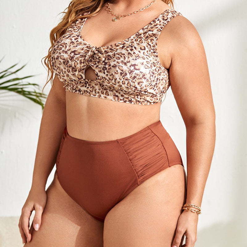 Split Bikini Spot Ladies Swimsuit